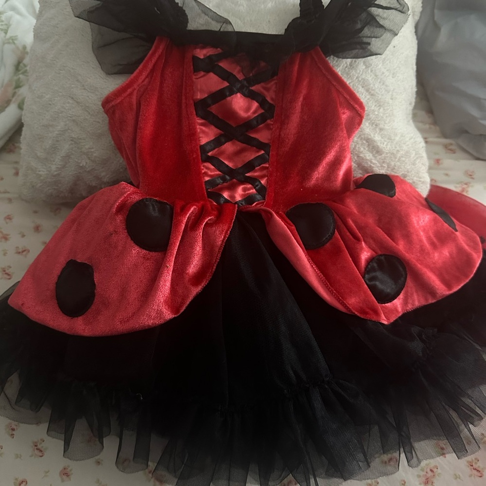 Ladybug Red and Black Kids Costume